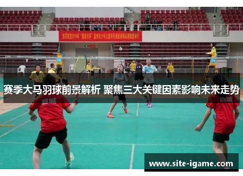 赛季大马羽球前景解析 聚焦三大关键因素影响未来走势 赛季大马羽球前景解析 聚焦三大关键因素影响未来走势