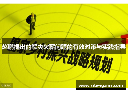 赵鹏提出的解决欠薪问题的有效对策与实践指导 赵鹏提出的解决欠薪问题的有效对策与实践指导