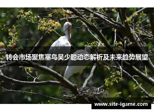 转会市场聚焦塞鸟吴少聪动态解析及未来趋势展望 转会市场聚焦塞鸟吴少聪动态解析及未来趋势展望