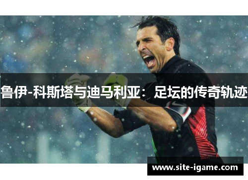 鲁伊-科斯塔与迪马利亚：足坛的传奇轨迹