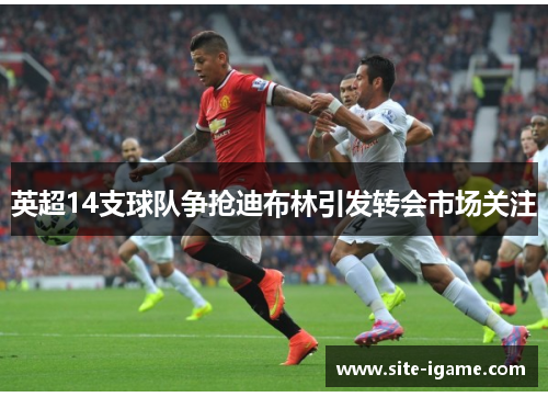 英超14支球队争抢迪布林引发转会市场关注 英超14支球队争抢迪布林引发转会市场关注