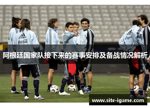 阿根廷国家队接下来的赛事安排及备战情况解析 阿根廷国家队接下来的赛事安排及备战情况解析