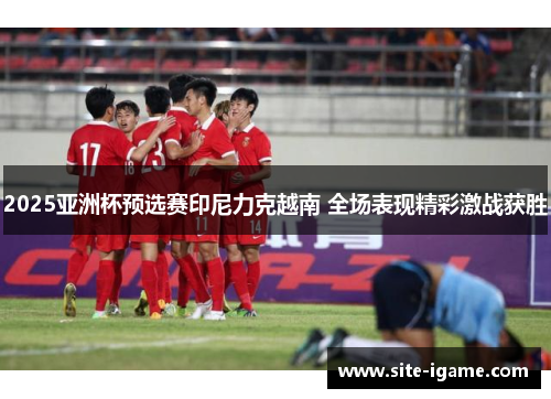 2025亚洲杯预选赛印尼力克越南 全场表现精彩激战获胜
