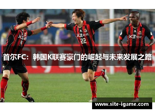 首尔FC：韩国K联赛豪门的崛起与未来发展之路