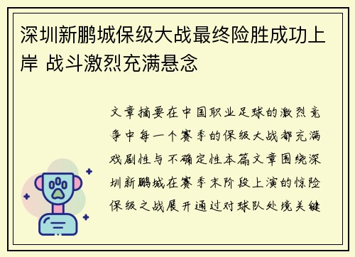 深圳新鹏城保级大战最终险胜成功上岸 战斗激烈充满悬念
